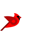 bird-1